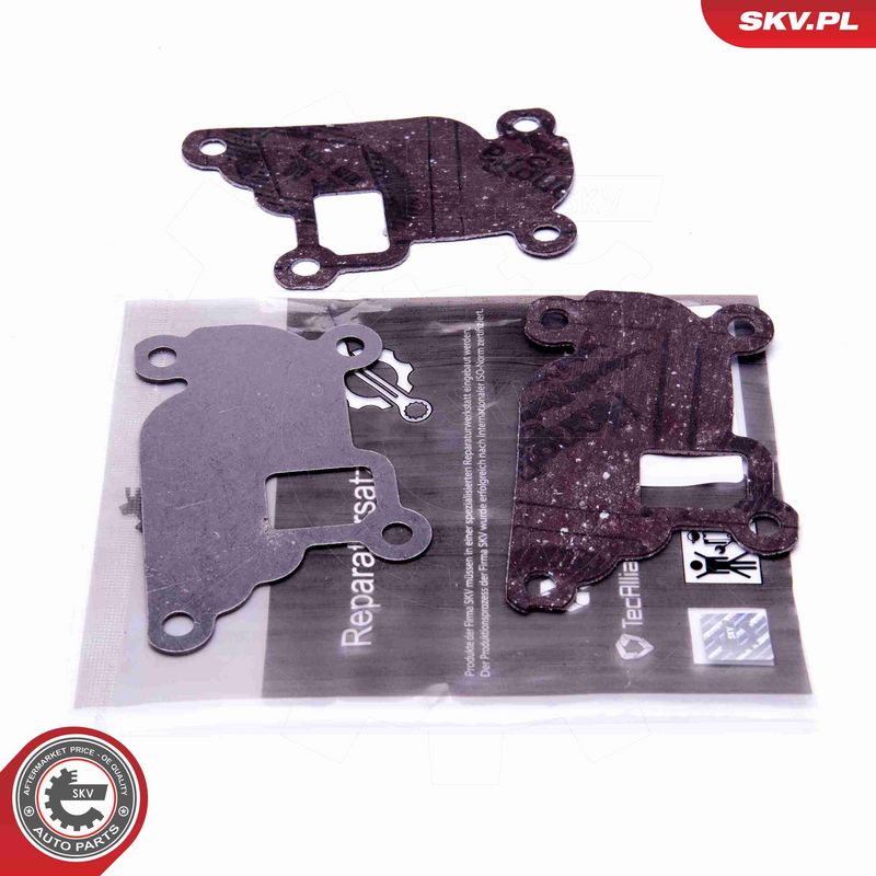 ESEN SKV 14SKV527 - Repair Set, EGR valve