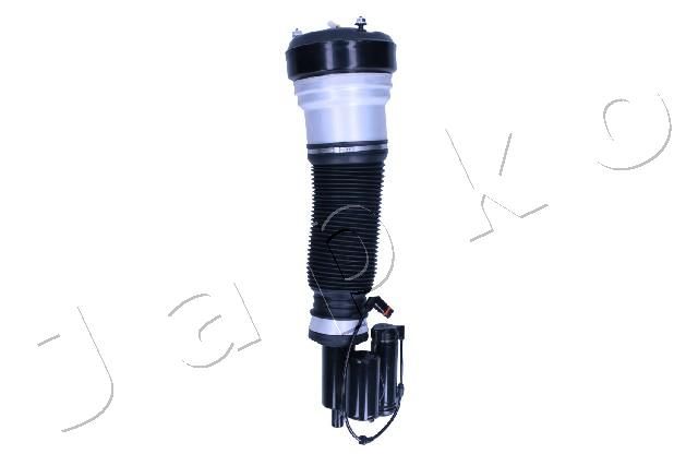 MJAS117_1.JPG