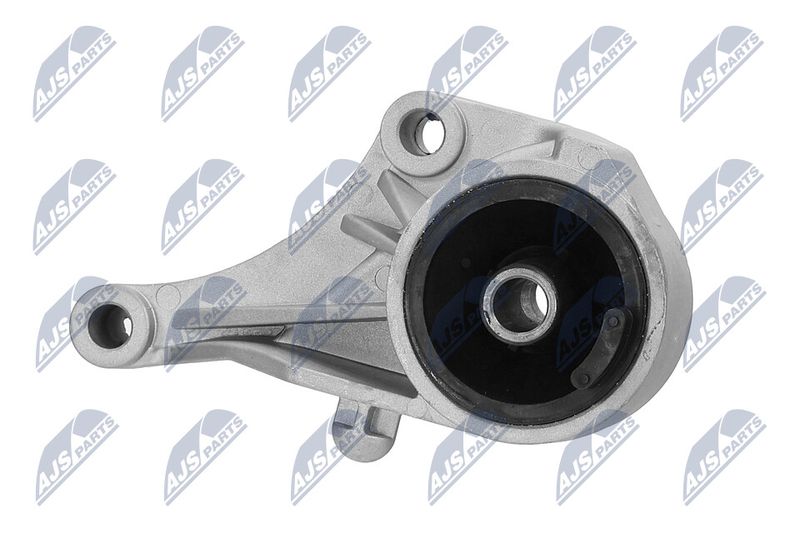 Paigutus, Mootor, NTY ZPS-PL-007