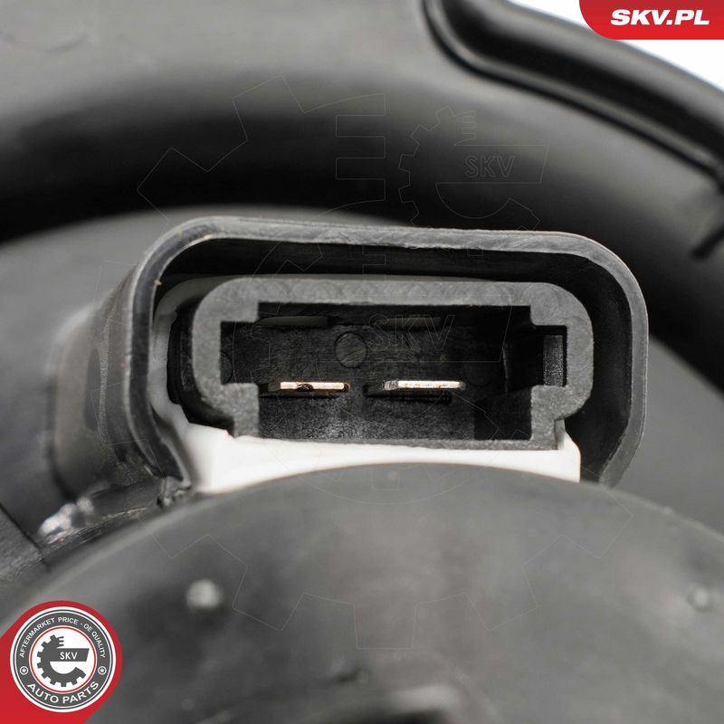 Salongipuhur, ESEN SKV...