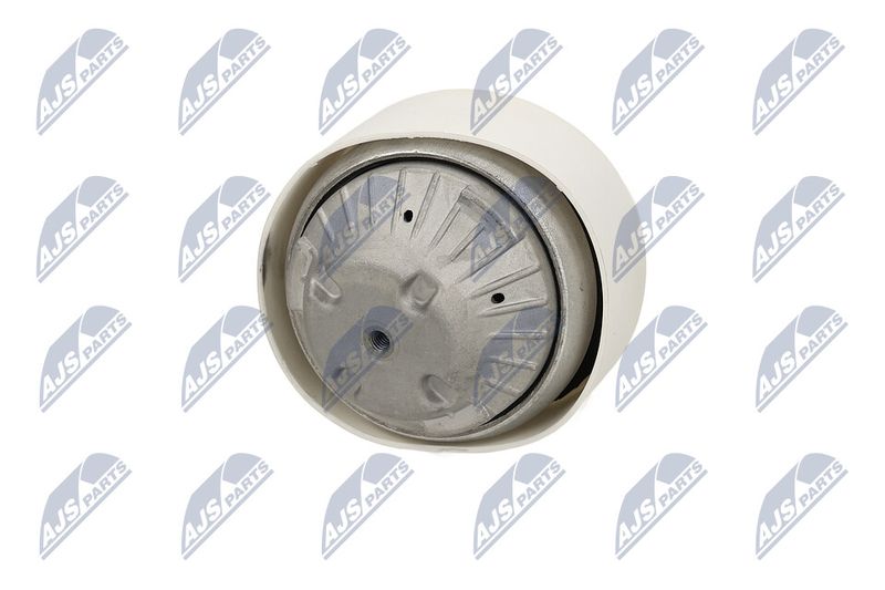 Paigutus, Mootor, NTY ZPS-ME-109