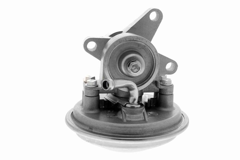 VAICO V25-1907 Mounting, engine