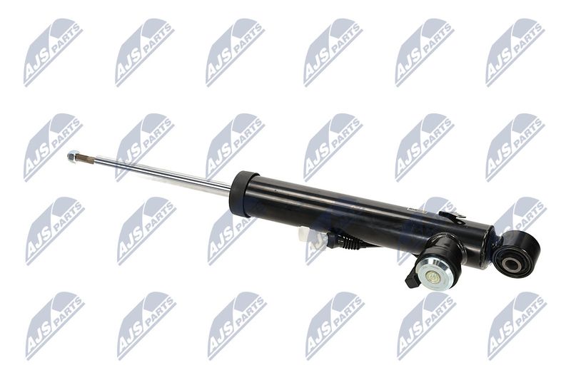 Amort, NTY A-PL-066