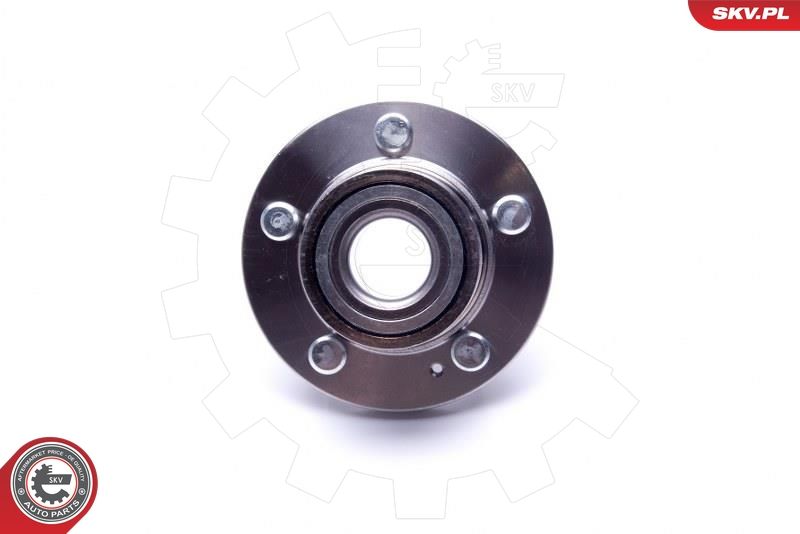 ESEN SKV 29SKV484 Wheel Bearing Kit