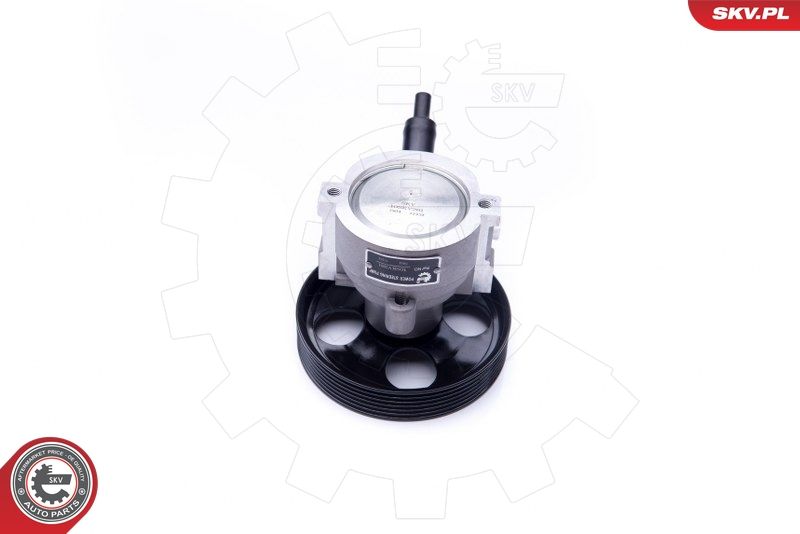 ESEN SKV 10SKV281 Hydraulic Pump, steering
