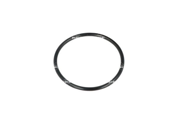 NRF 725073 Thermostat, coolant