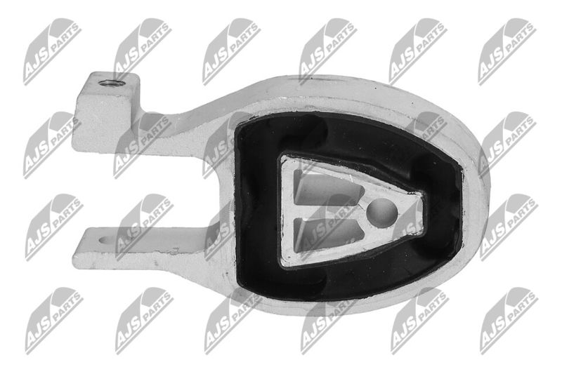 Paigutus, Mootor, NTY ZPS-FR-038