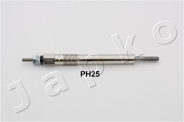 PH25_1.JPG