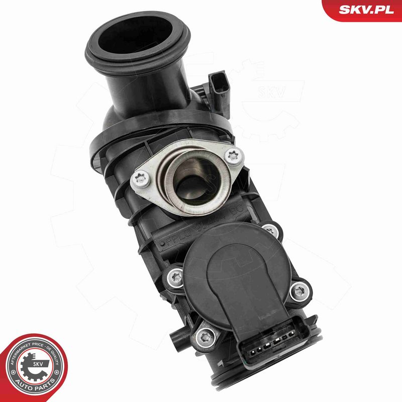 ESEN SKV 12SKV151 Throttle Body