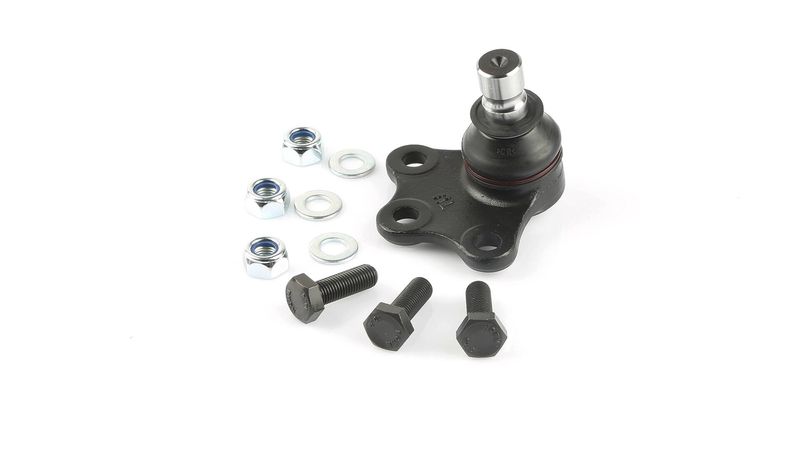 SKF VKDS313006 Šarnyras / girgždukas