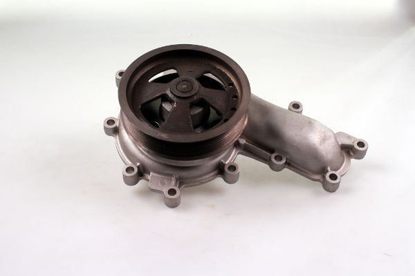 P9910.JPG