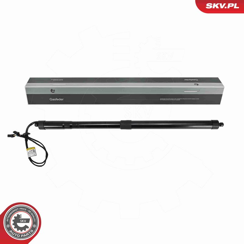 ESEN SKV 52SKV877 - Electric Motor, tailgate