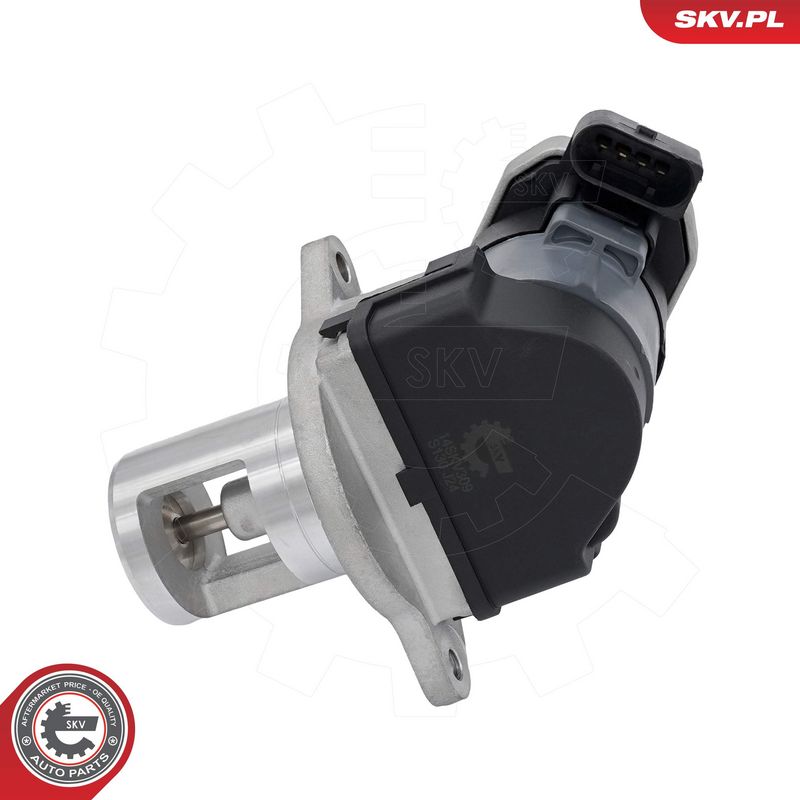 EGR-klapp, ESEN SKV 14SKV309