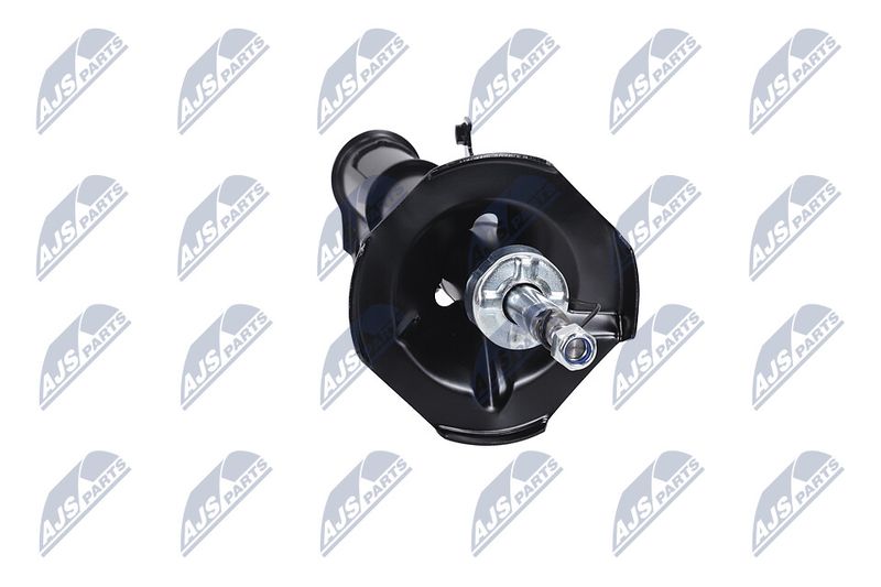 Amort, NTY A-TY-097