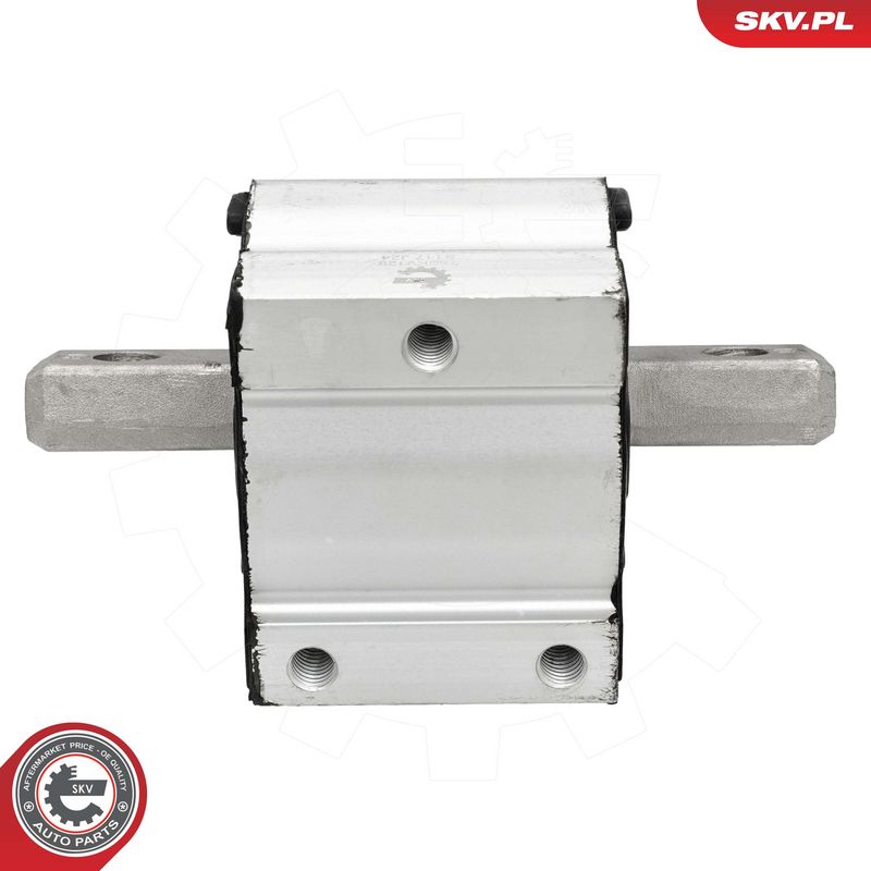 Paigutus, Mootor, ESEN SKV...