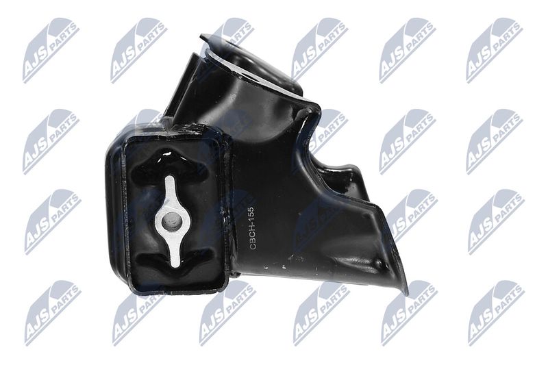 Paigutus, Mootor, NTY ZPS-CH-155