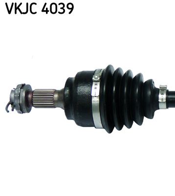 VKJC 4039_2.JPG