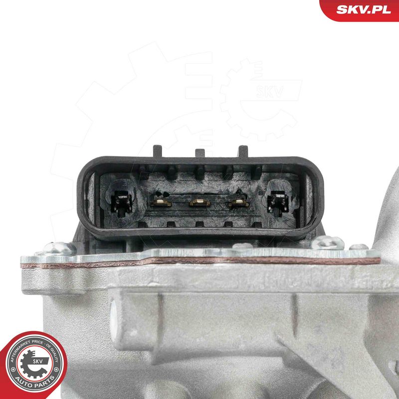 Pesurihoovastik, ESEN SKV 05SKV239