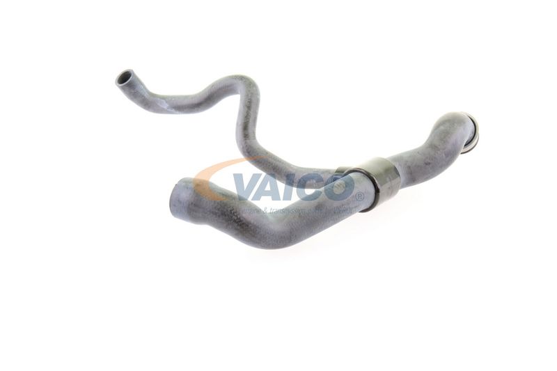 VAICO V30-1660 Radiator Hose