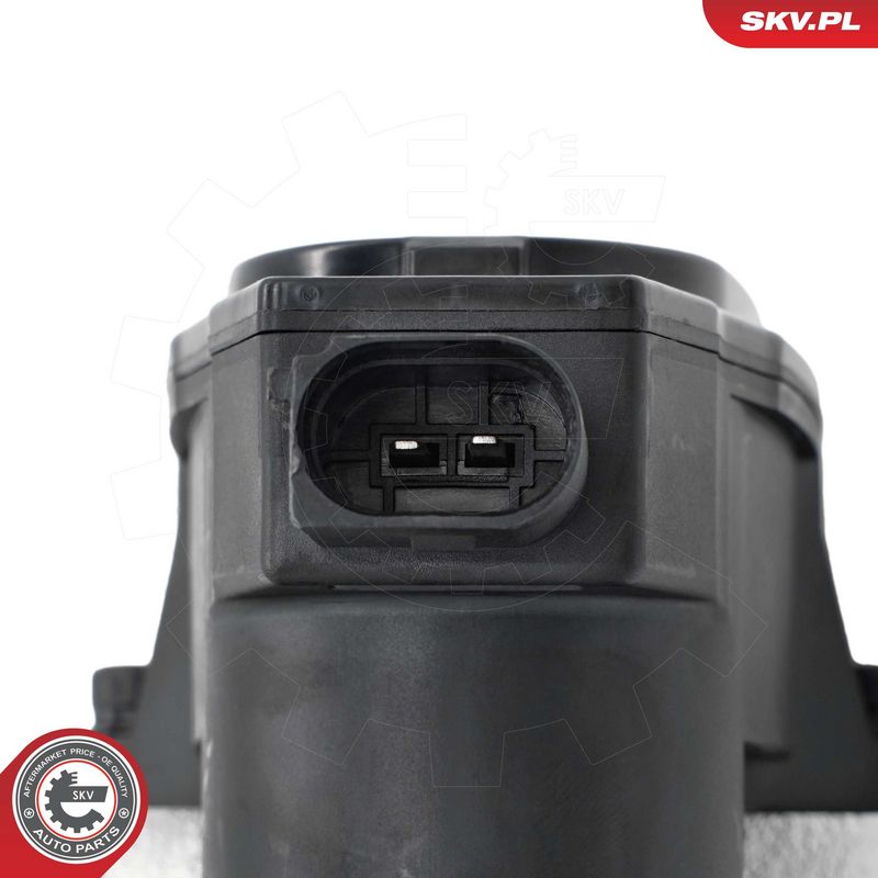 Pidurisadul, ESEN SKV 79SKV734