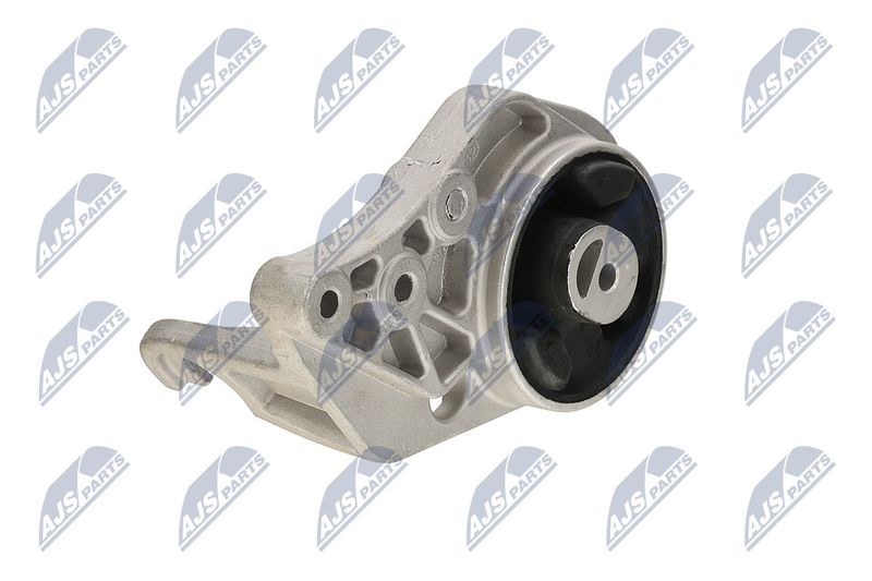 Paigutus, Mootor, NTY ZPS-CH-113