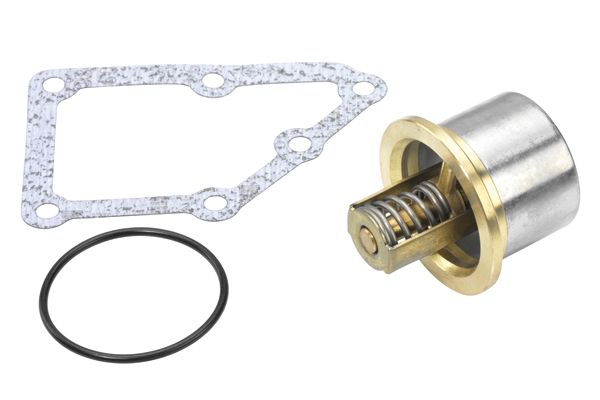BorgWarner (Wahler) 410828.86D Thermostat, coolant