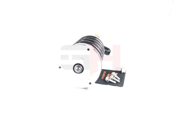 GH GH-331524C03 Suspension Strut