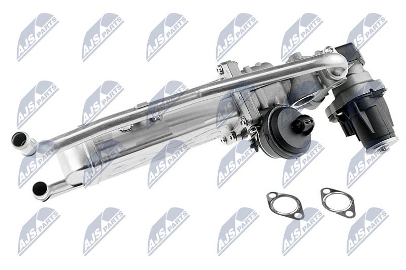 egr-vw-009_2-wm.JPG