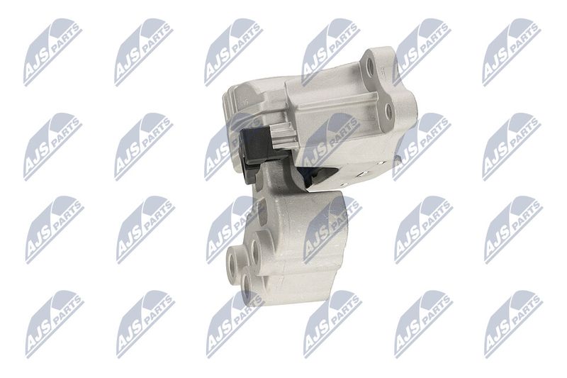 Paigutus, Mootor, NTY ZPS-CH-133