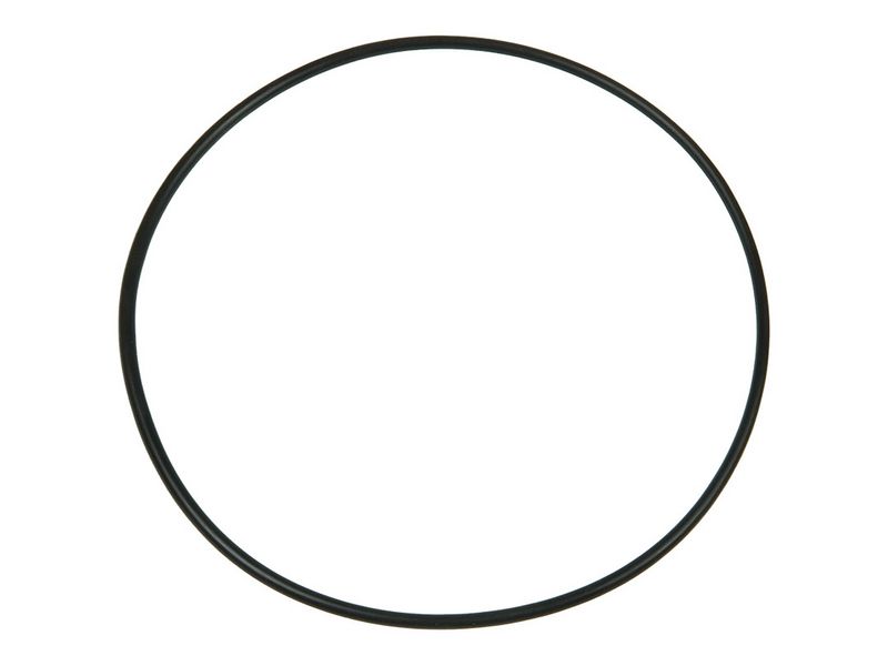 Brand new AS-PL Starter motor o-ring