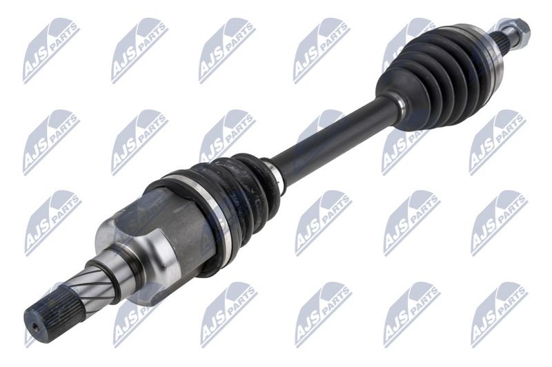 NPW-RE-213_1-WM.JPG