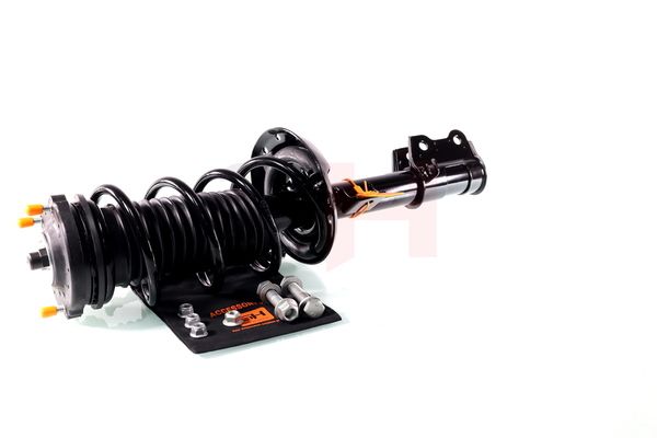 Vedruamort, GH GH-352388C01