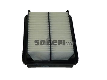 FRAM CA10064