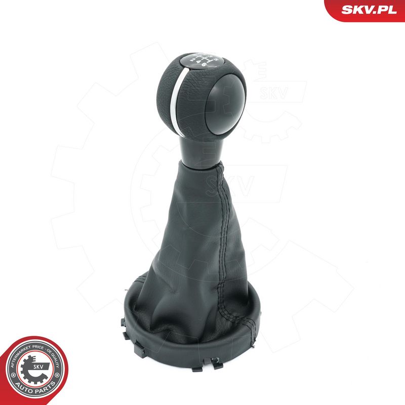 Käigukanginupp, ESEN SKV...