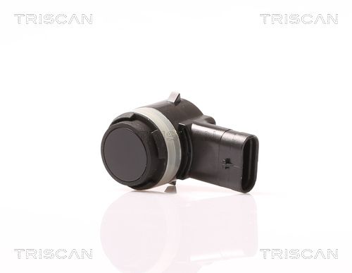 TRIS881511105.JPG