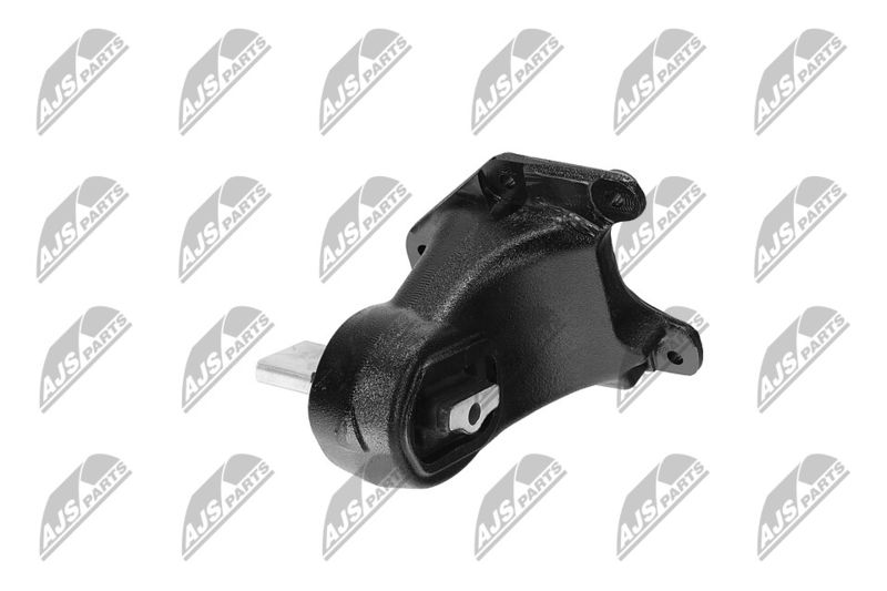 Paigutus, Mootor, NTY ZPS-CH-173