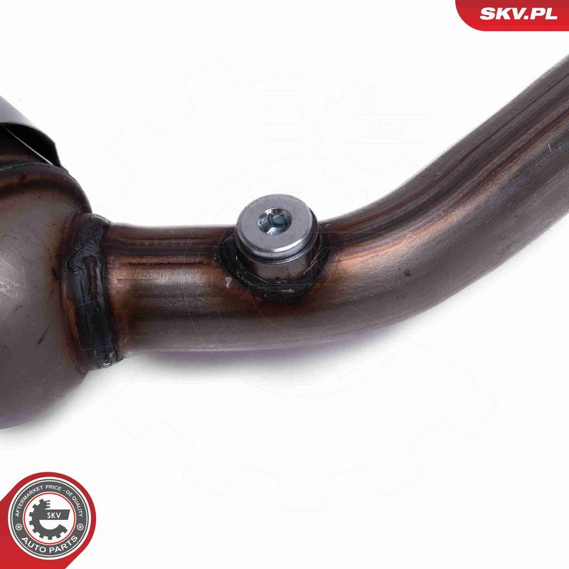 ESEN SKV 62SKV015 Catalytic Converter