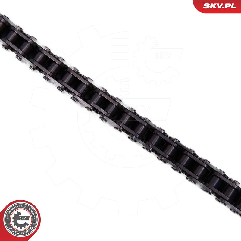 ESEN SKV 21SKV261 Timing Chain Kit