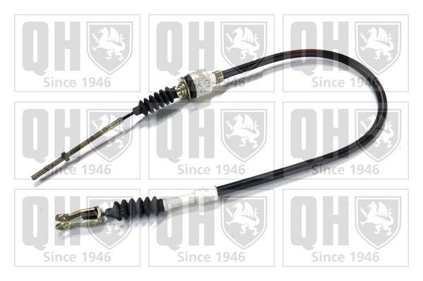 QH_BC2783.JPG