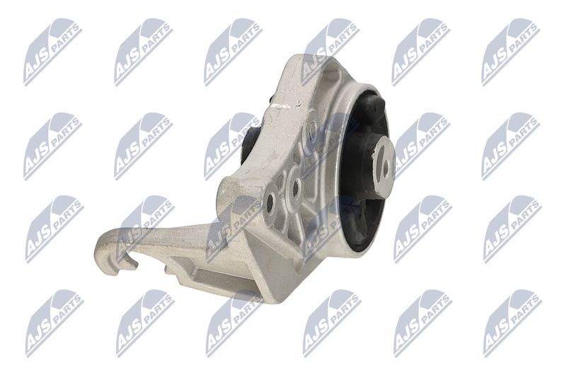 Paigutus, Mootor, NTY ZPS-CH-113