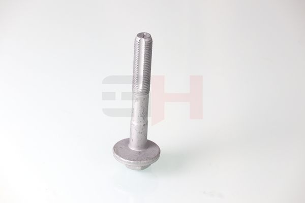 GH GH-399901 Camber Correction Screw
