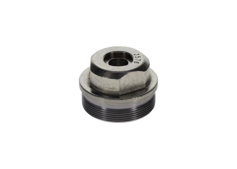 BOSCH F 002 D13 576 Screw