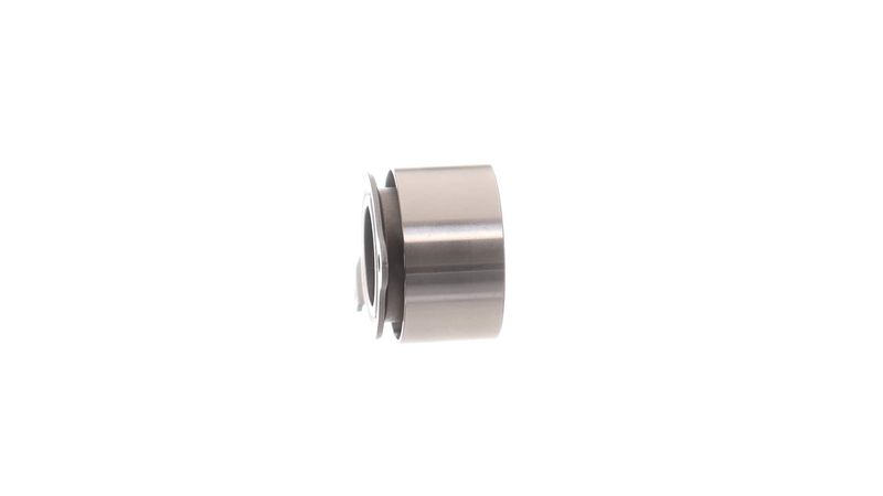 SKF VKM 74600 Įtempiklio skriemulys, paskirstymo diržas