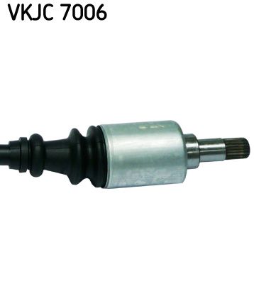 VKJC 7006_3.JPG
