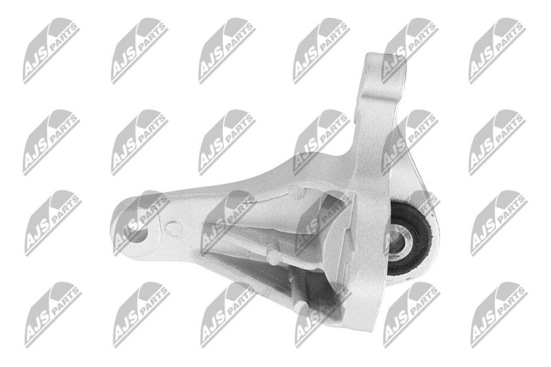 Paigutus, Mootor, NTY ZPS-FR-049