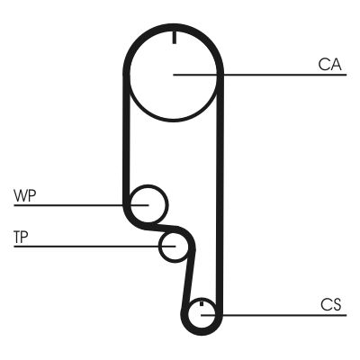 CONTINENTAL CTAM CT1008 Timing Belt