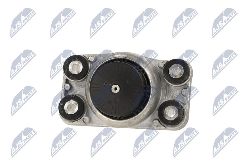 Paigutus, Mootor, NTY ZPS-LR-014