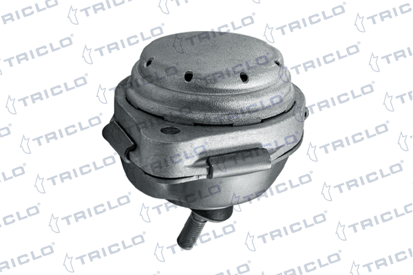 окачване, двигател TRICLO