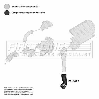 FTH1623_1101726.JPG