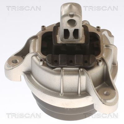 TRISCAN felfüggesztés, motor 8505 11117